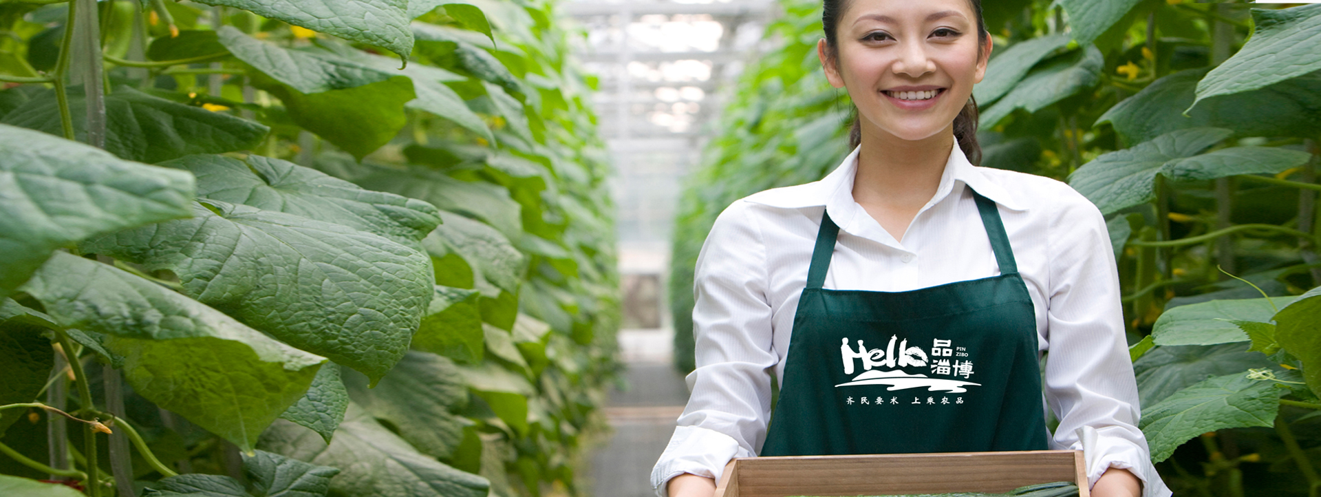 hello·品淄博区域公用品牌策划纪实