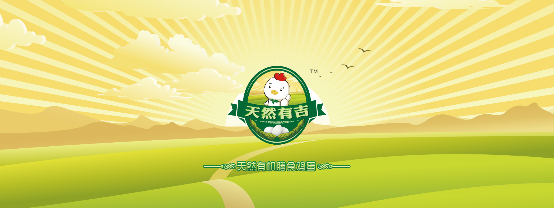 天然有吉膳食蛋策划纪实