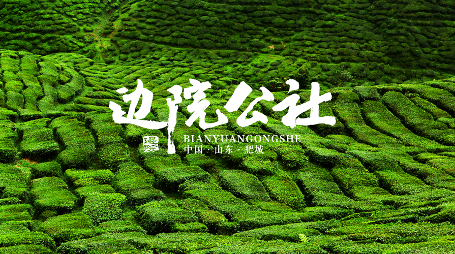 边院公社镇级区域公用品牌策划