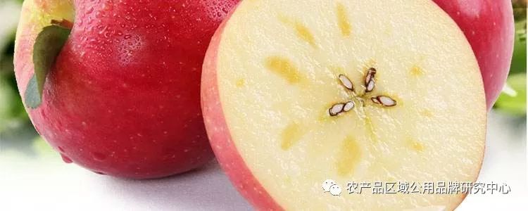农产品区域公用品牌