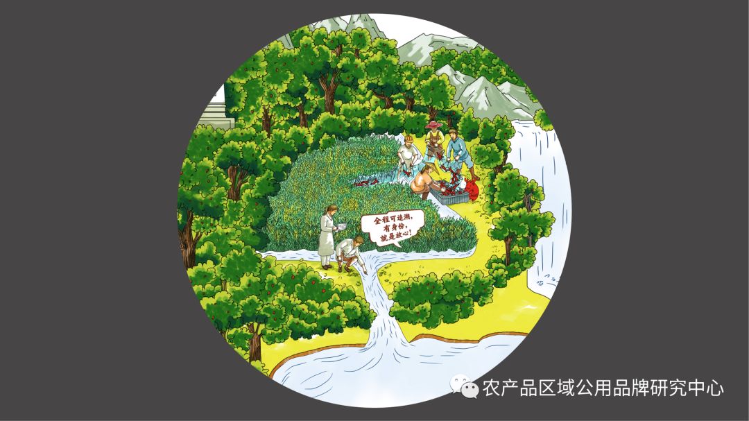 龙虾区域公用品牌