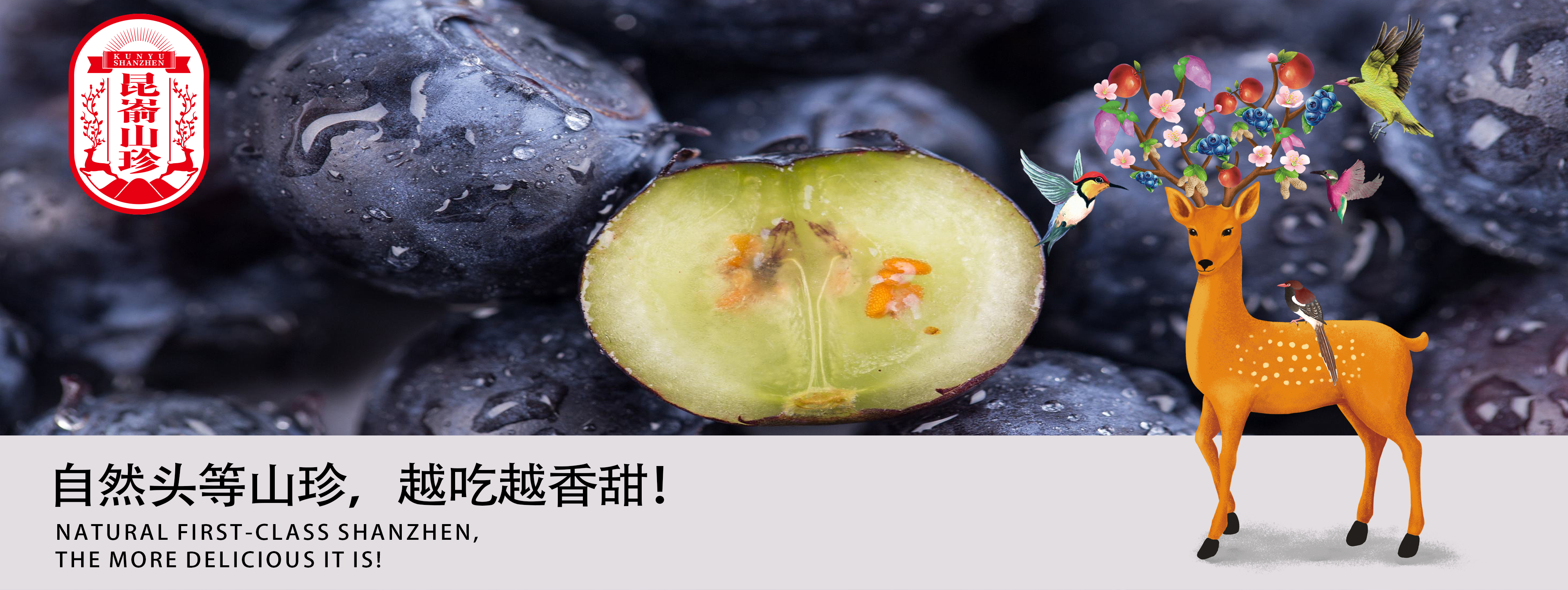 昆嵛山珍区域公用品牌策划纪实