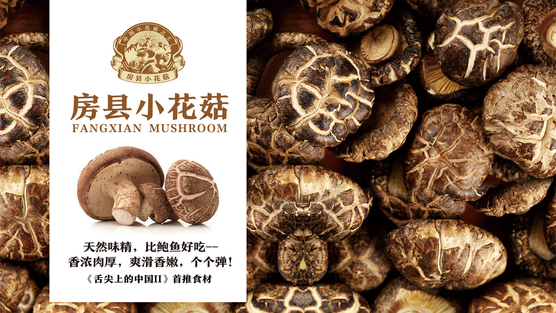 房县小花菇区域公用品牌战略策划