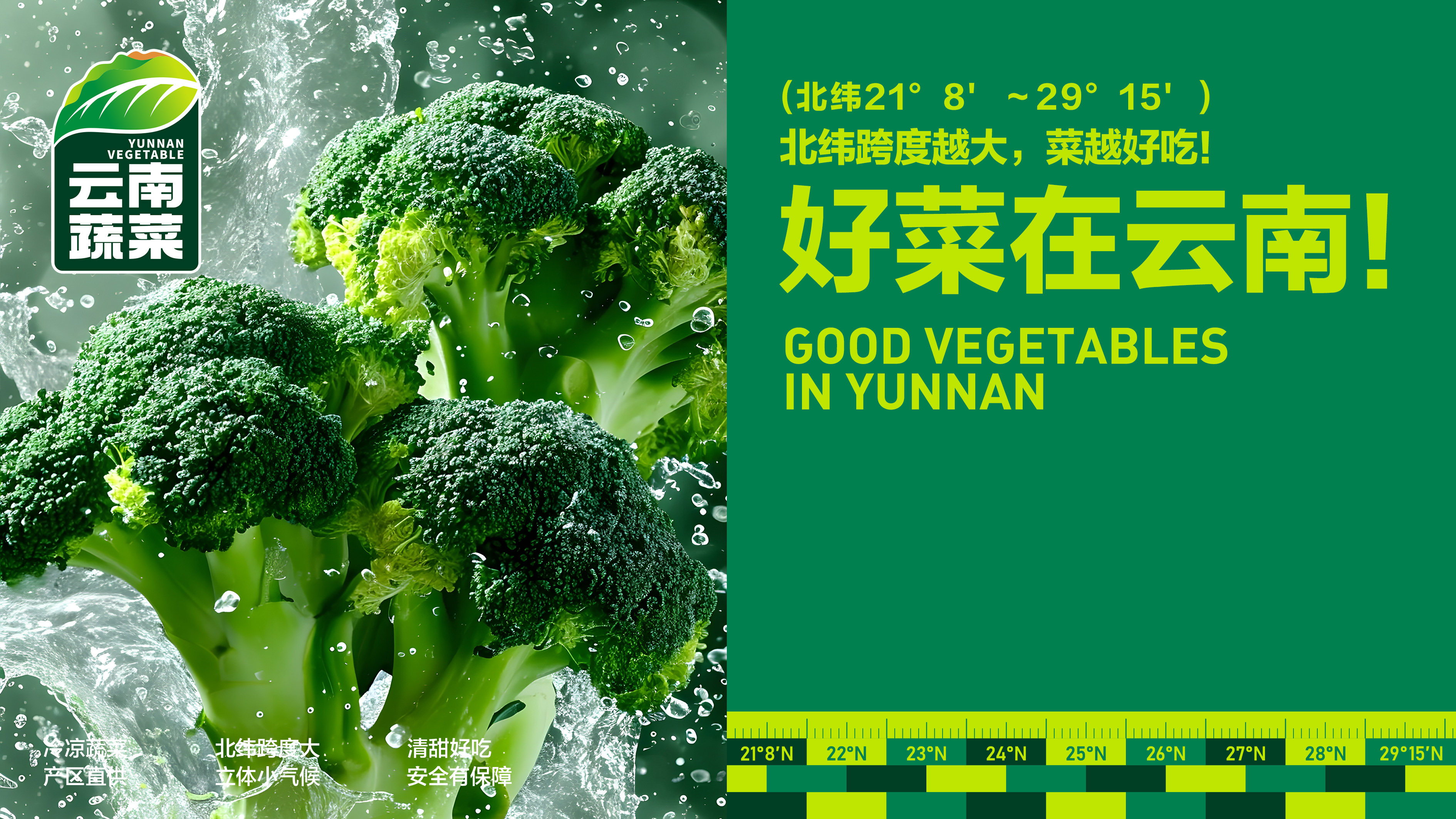 好菜在云南——云南蔬菜区域公用品牌设计、策划纪实