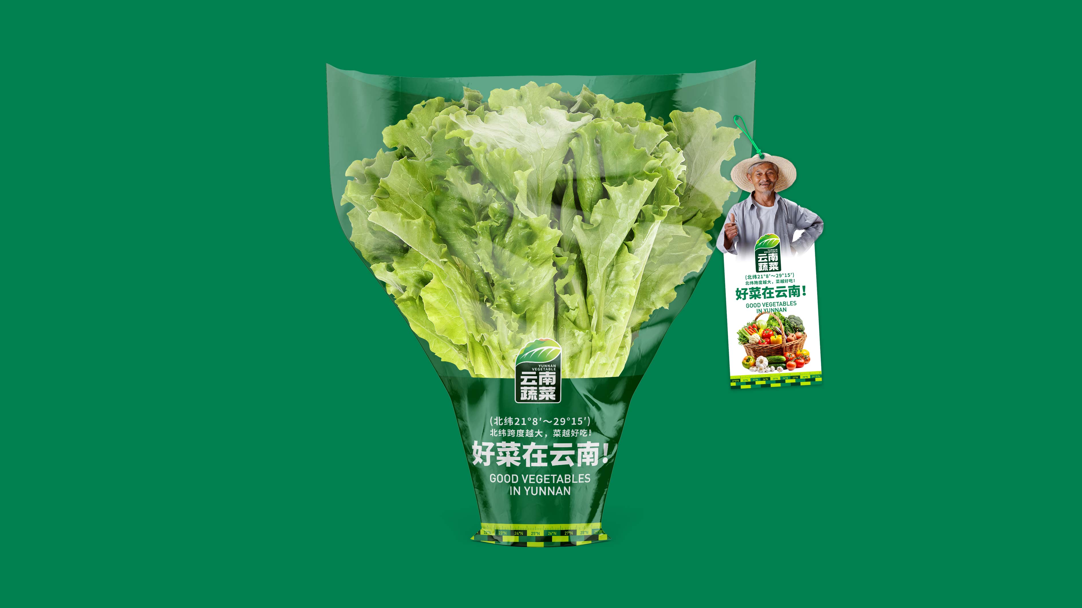 蔬菜品牌设计