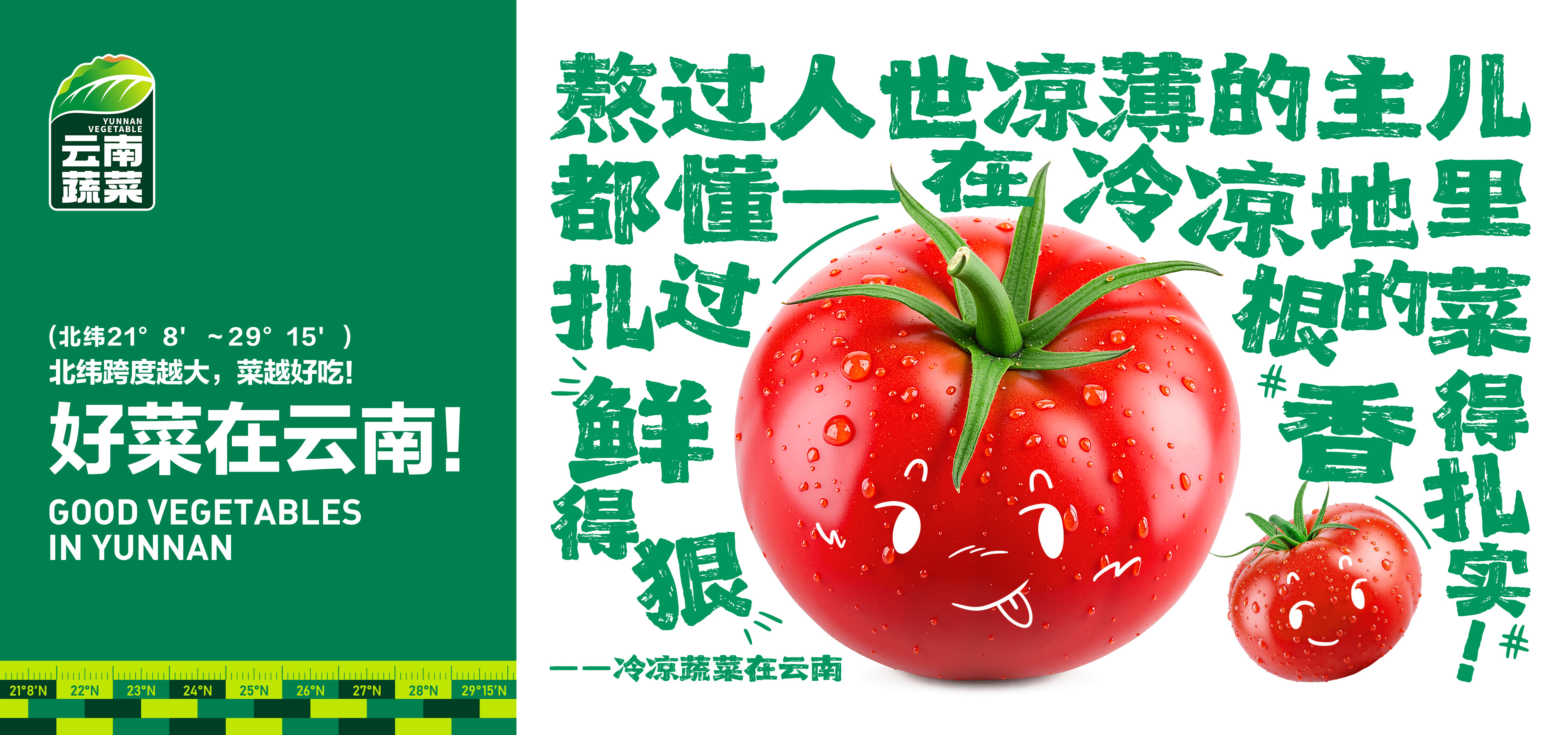 蔬菜区域公用品牌推广