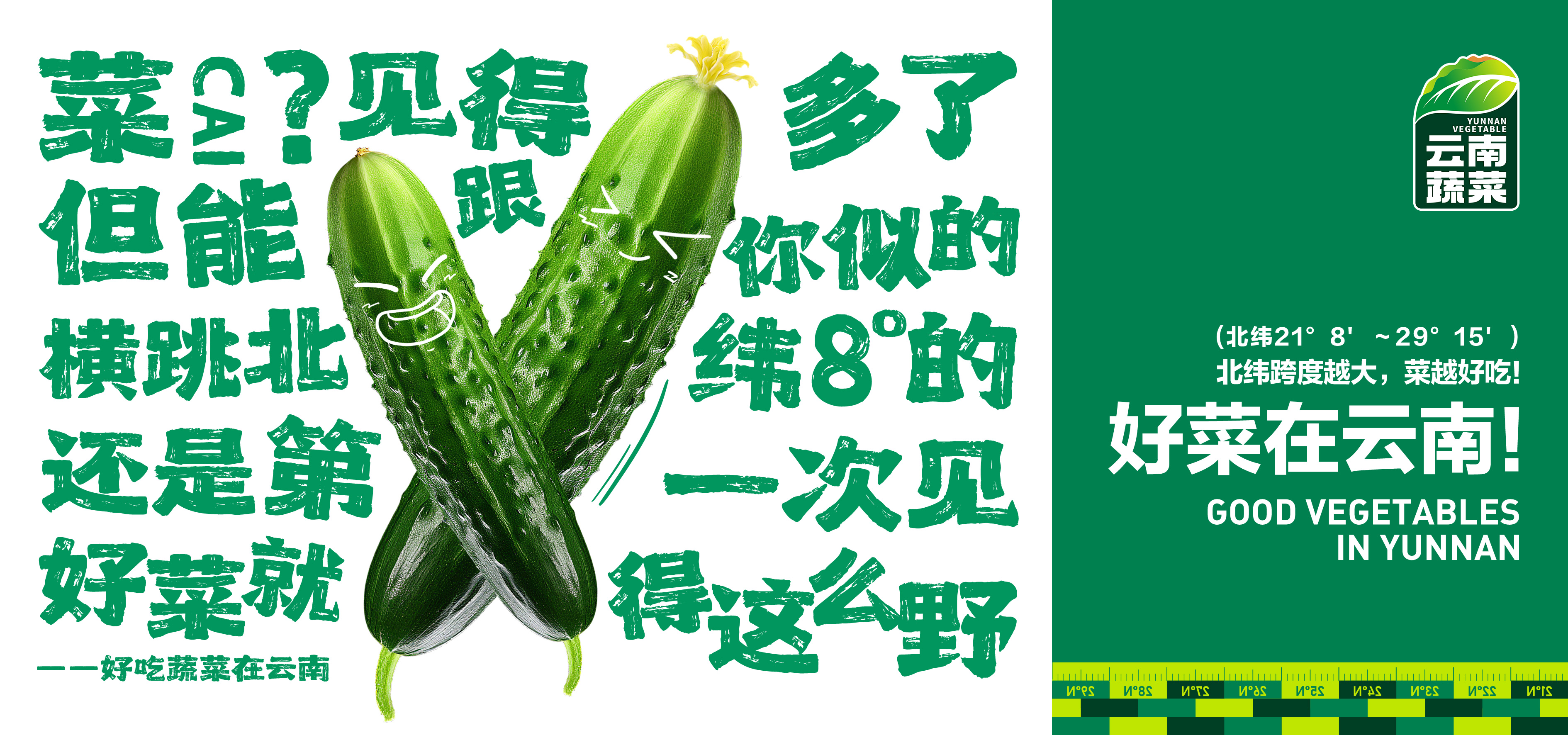 蔬菜区域公用品牌推广